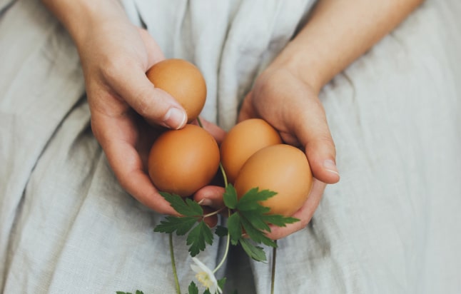 Ethical Sourcing Sorting