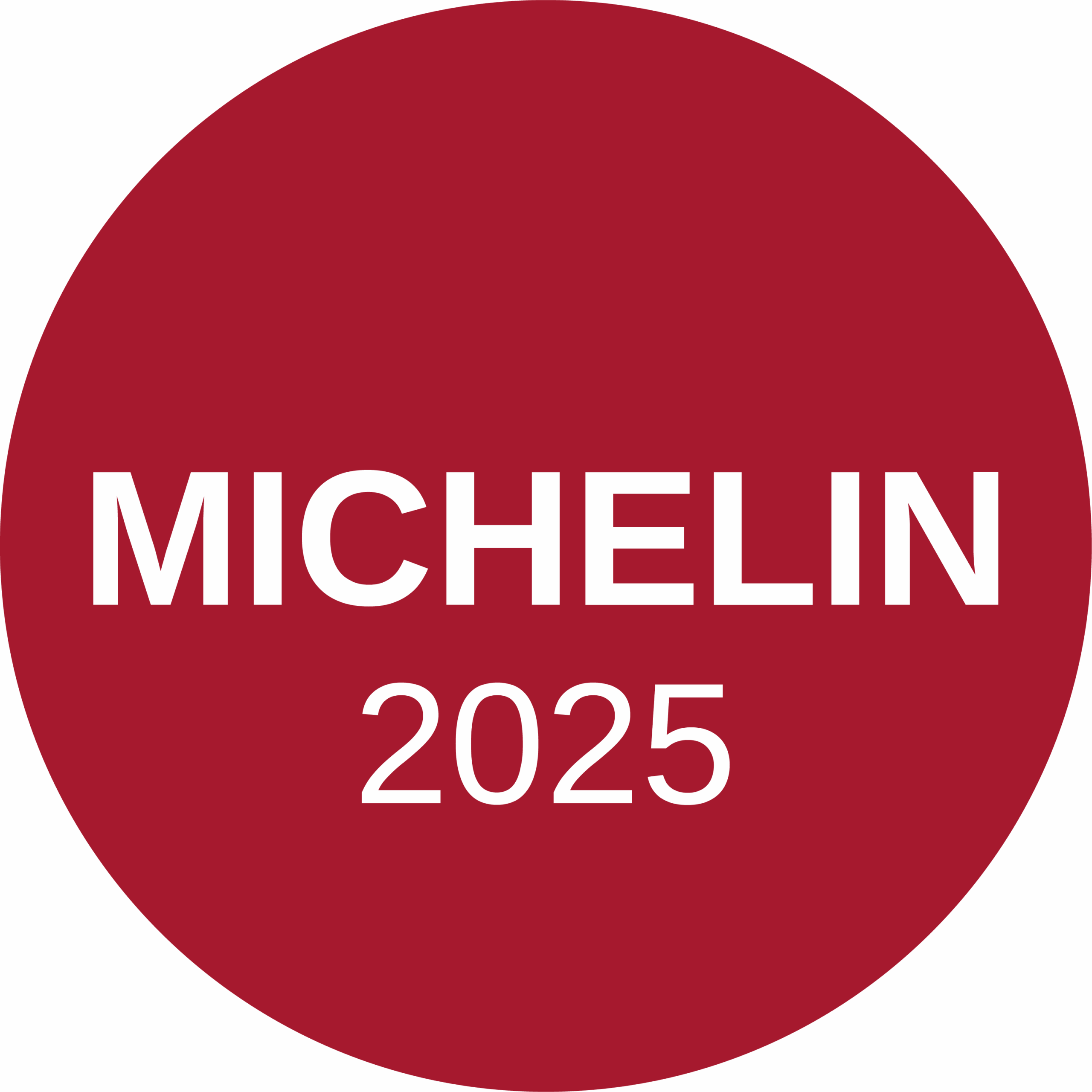 Michelin 25